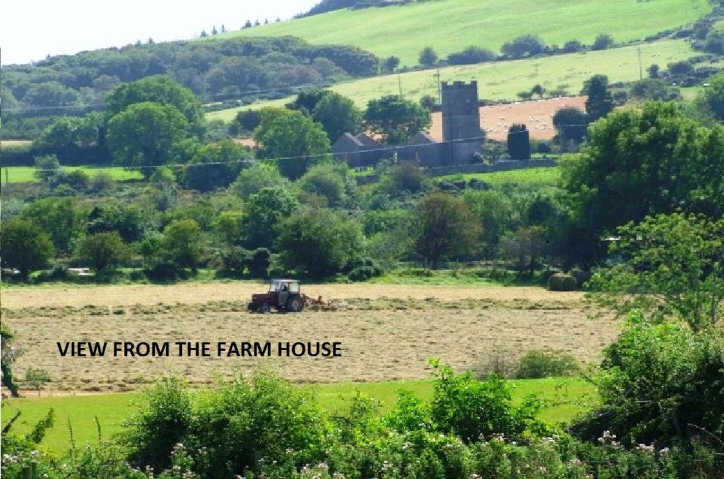 Wonderful Setting Farmhouse Apartment Wicklow Luaran gambar