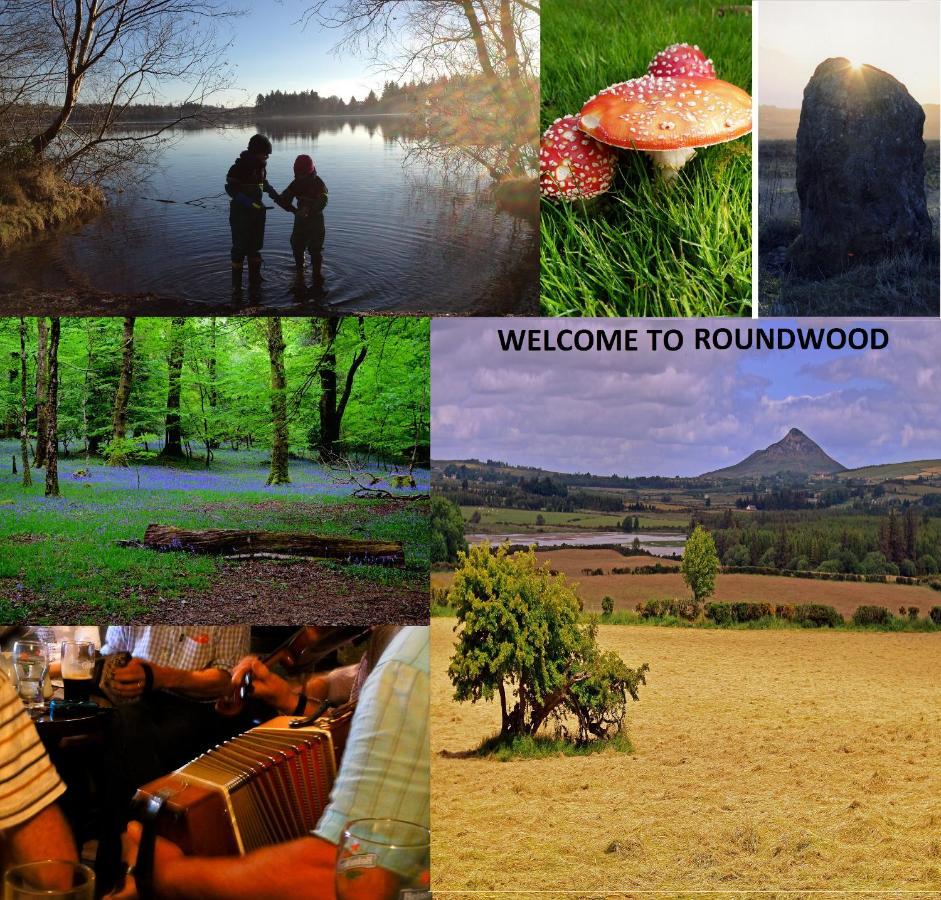 Wonderful Setting Farmhouse Apartment Wicklow Luaran gambar